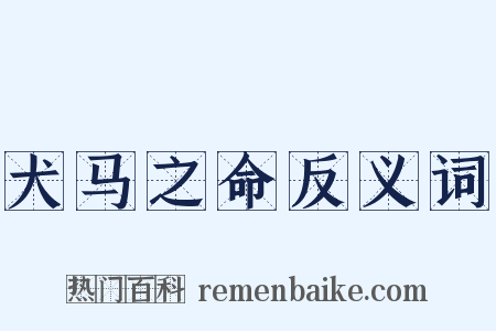 犬马之命反义词是什么意思的图片